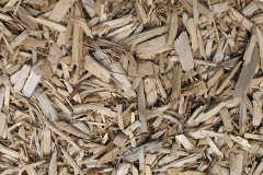 biomass boilers Moss Edge